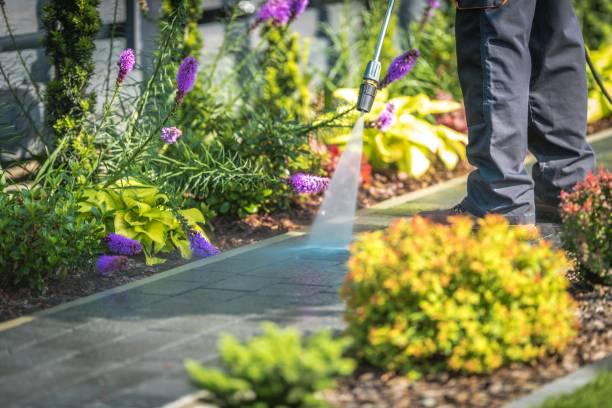 Best Sidewalk and Walkway Cleaning  in Breckenridge, MI