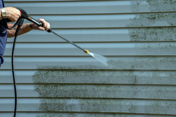 Best Solar Panel Cleaning  in Breckenridge, MI