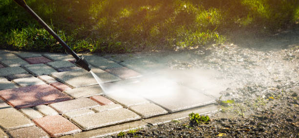 Best Gutter Cleaning  in Breckenridge, MI