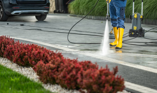 Best Animal Enclosure Cleaning  in Breckenridge, MI